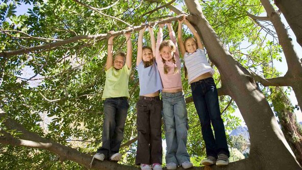 60/26 - EP01 - Spielend die Welt entdecken: Ganzheitliches Lernen durch Aktivität (Grundkurs Erlebnispädagogik)