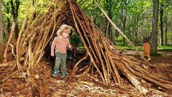 52/27-WP02 - Neues aus der kleinen Waldschule (Aufbaukurs Waldpädagogik)