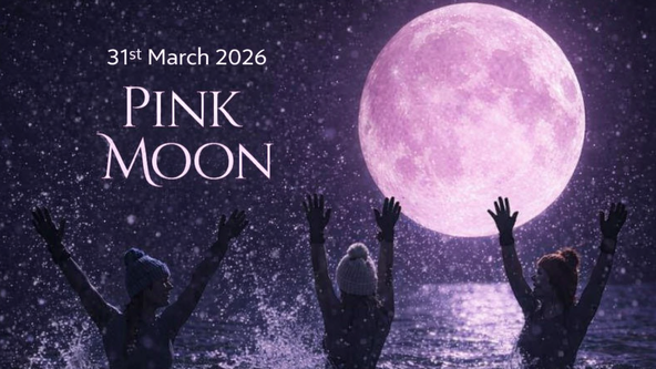 The Pink Moon - Yoga & Sea Dip 🩷 