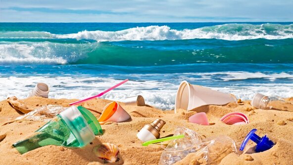 Beach Litter Pick - BOSCOMBE BEACH