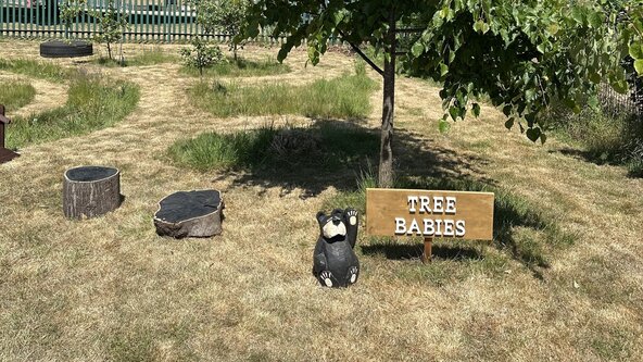 Tree Babies & Wild Little Moons 