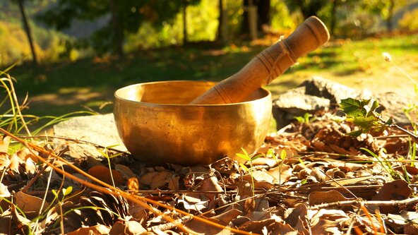 Yoga Nidra - evening retreat