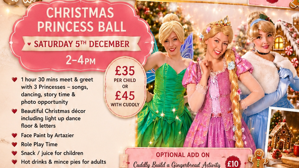 👸Christmas Mini Princess Ball 👸