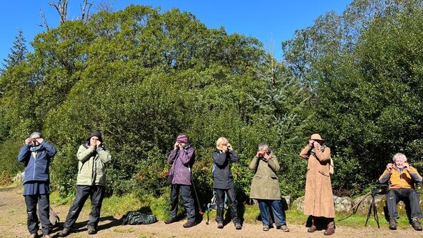 A Story Walk through Longtimber Woods with Sara Hurley