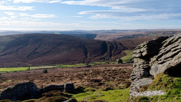 Discover the Reverend Bray's carved stones