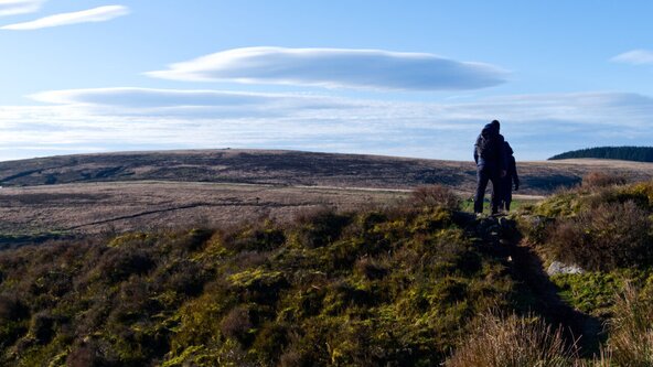 A stroll to the William Donoughy memorial stone