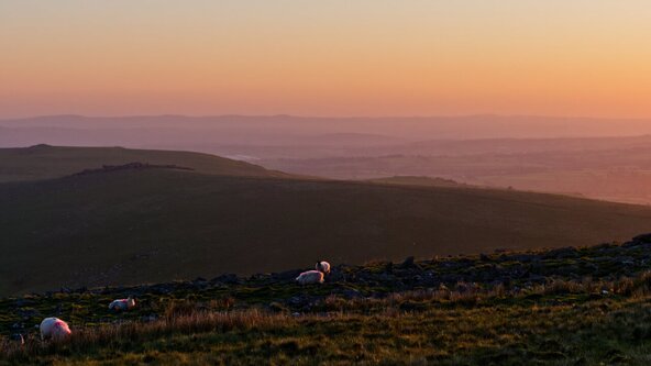 Lights, Camera, Dartmoor - The Results