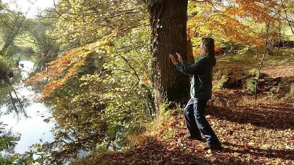Twilight Tai Chi, Nature and Mindfulness
