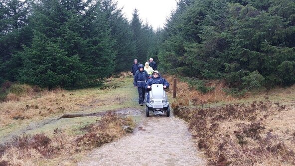 An accessible walk - History and tor at Bellever Forest
