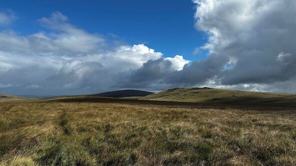 Dartmoor Awe Walk: A Mindful Immersion in Nature