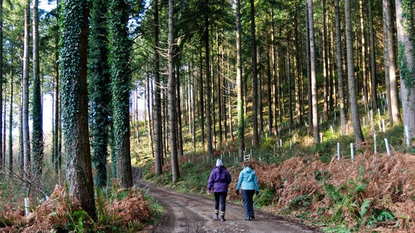 Dartmoor Photo Competition