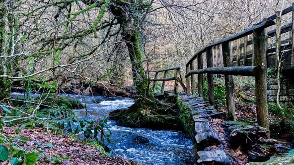 Belstone Bimble and dip 