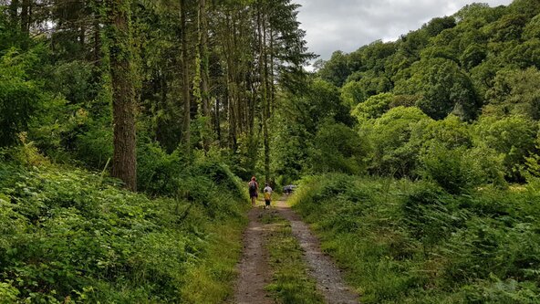 Discover "Tyrwhitt's Tramway" (The Plymouth and Dartmoor Railway)