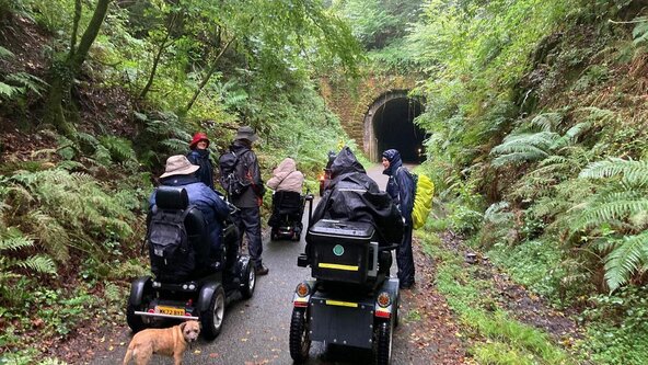 An accessible walk - Drakes Trail from Yelverton