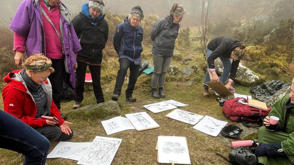 Lines of Granite: Warren House Walk A Drawing on Dartmoor Walk