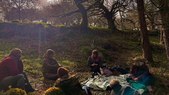 Medicinal Plants and Forest Bathing