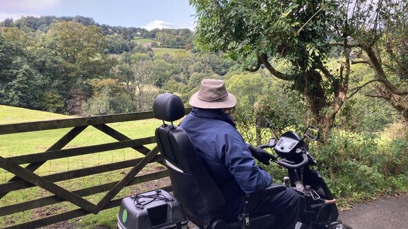An accessible walk at Yarner Wood