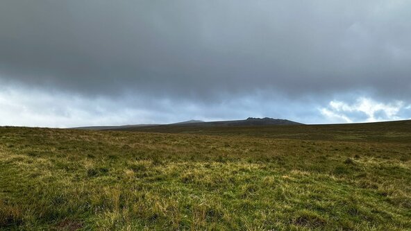 To the Highest Point in Southern England