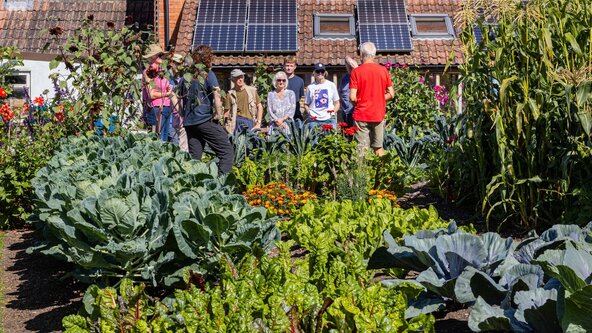 Weekend Intensive No Dig Course