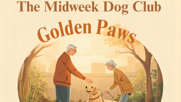 The Midweek Dog Club: Golden Paws 