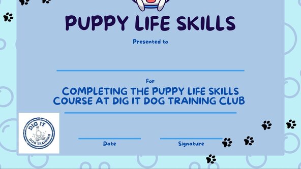 ❤️ Puppy Life Skills Award for dogs under 7 months 