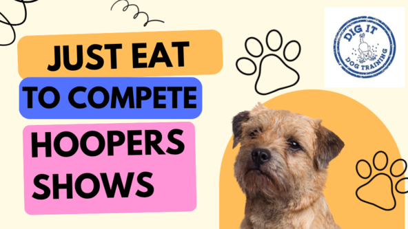 💝 Just Eat to Compete Hoopers Show at Dig It Dogs 