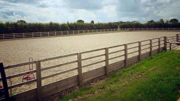 🌙 Evening Steeplechase Show at the Livery 🐴 