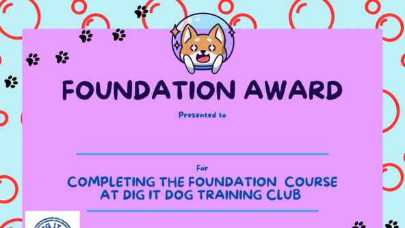 💚 Foundation Award for dogs over 7 months