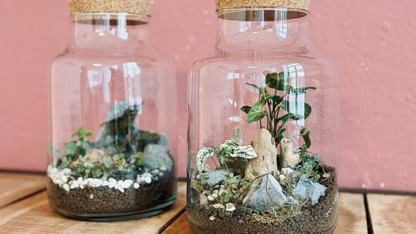 "Flaschengarten" - Dein selbst gestaltetes Mini-Biotop
