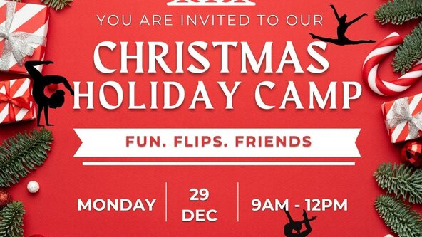 Gymnastics Holiday Camp 