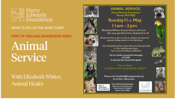 Healing Awareness Week: Animal Service | Elizabeth Whiter Animal Healer will host this special service