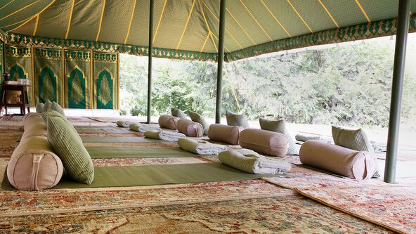 Kundalini Activation Training