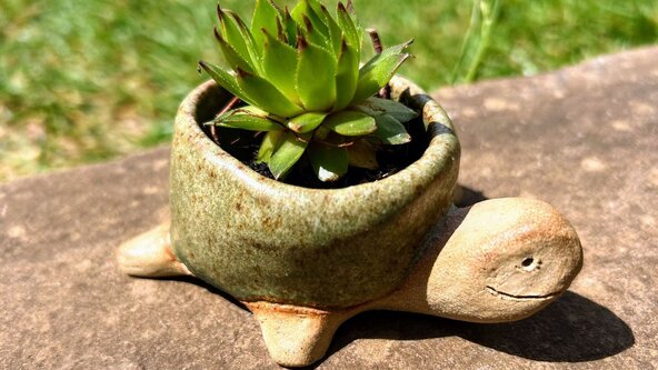Wild Things — Kids Clay Workshop with Jo