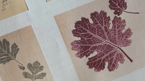 Nature Notebooks