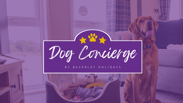  Dog Concierge Service - Launch Party