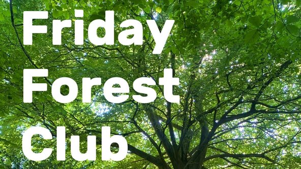 Friday Forest Club