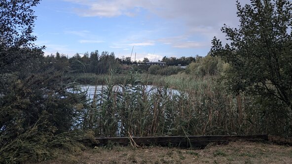 Mindful Meetings - the perfect blend of yoga, food and community connection!