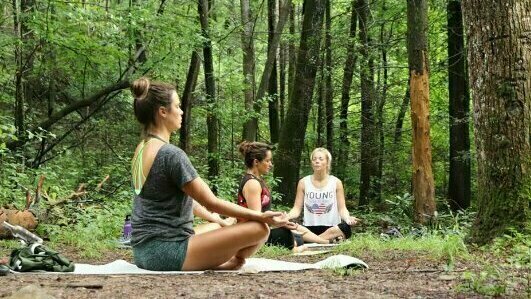 Forest Yoga