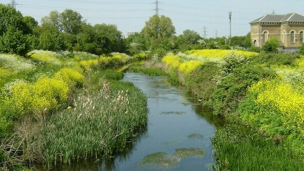 Roding Valley Nature Walk (Spring)