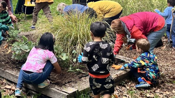 Family Gardening Fun at Woodford Green Library (3yrs+)