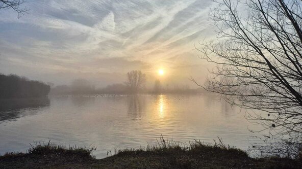 New Year's day walk at Hainault Forest 