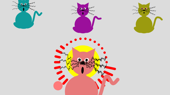 Visualise your Tunes with Code for 10-14 years of age @ Fullwell Cross Library