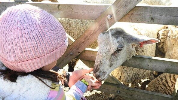 Feed the Farm - Tour