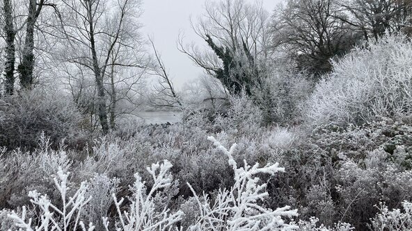New Year Nature & Heritage Walk 