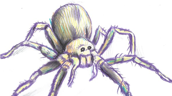 Creepy Crawly Art Class  @ Valentines Mansion for 5-10 years