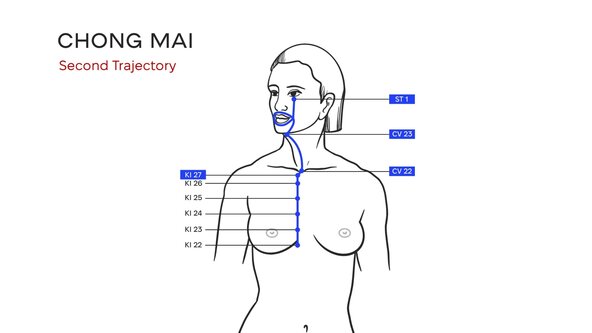 DROP-IN Meditation on Chong Mai Second Trajectory