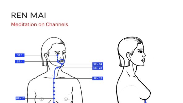 DROP IN Meditation on Ren Mai First and Second Trajectory