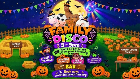 HALLOWEEN KIDS DISCO AT DAISY MAY'S FARM