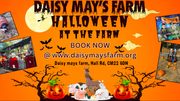 Halloween At The Farm
