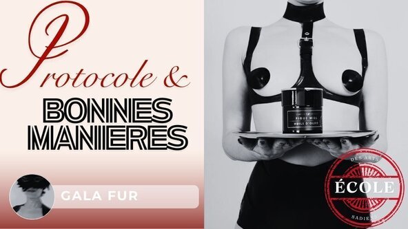 🔔 Protocoles & bonnes manières par Gala Fur